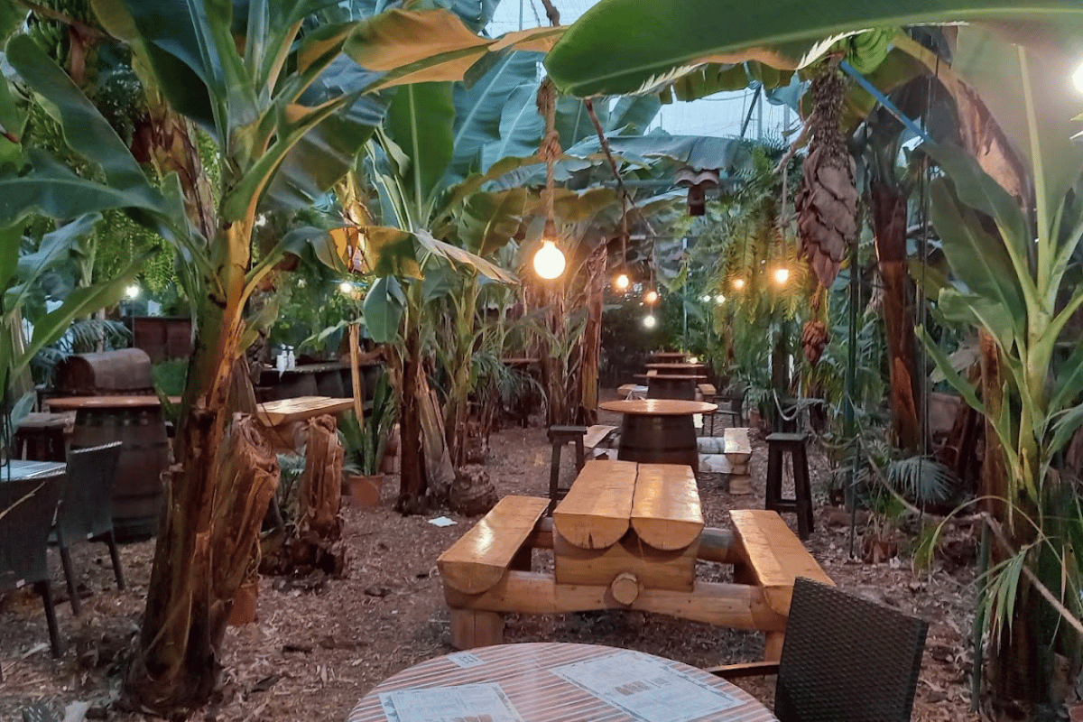 Guachinche El Cordero w San Miguel de Abona – widok na plantację bananów