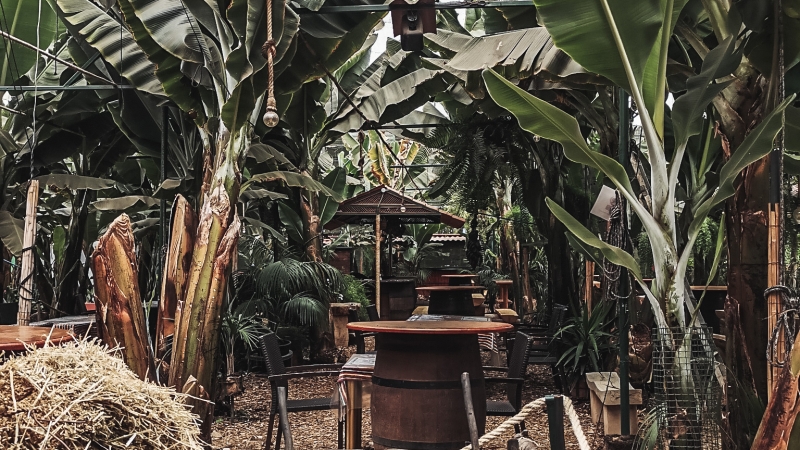 4/5 guachinche - lokalne restauracje na Teneryfie