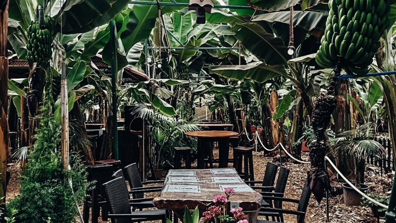 5/5 guachinche - lokalne restauracje na Teneryfie