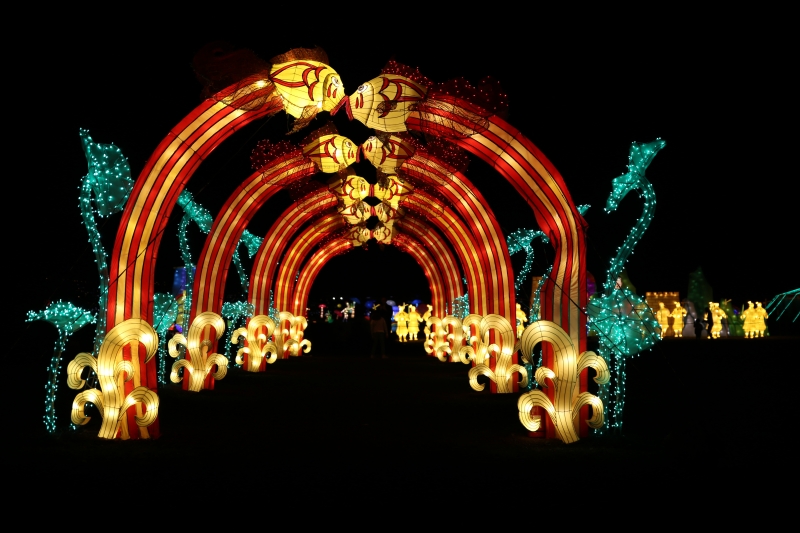 2/5 Great Chinese Lantern World - pokaz świateł już otwarty