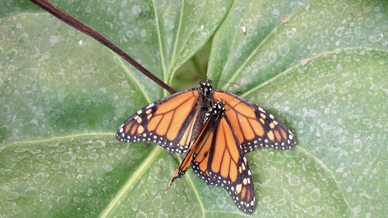 5/6 Atrakcje dla dzieci na Teneryfie