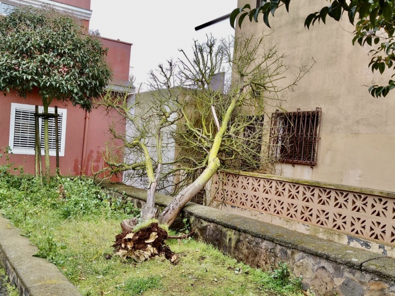 4/5 Skutki wichury na Wyspach Kanaryjskich