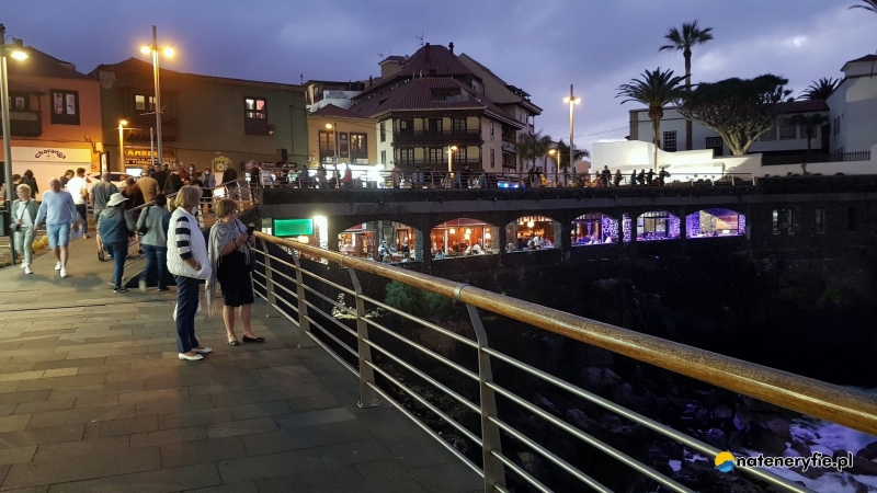 14/25 Puerto de La Cruz - kurort turystyczny północnej Teneryfy
