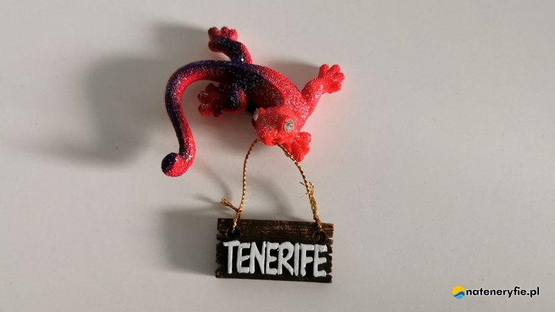 4/6 Jaszczurka - nieoficjalny symbol Teneryfy