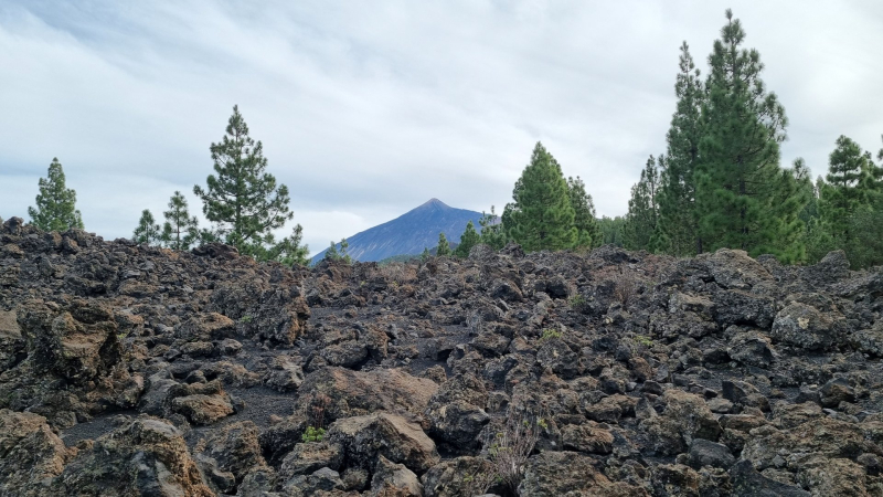4/5 Chinyero – najmłodszy wulkan na Teneryfie