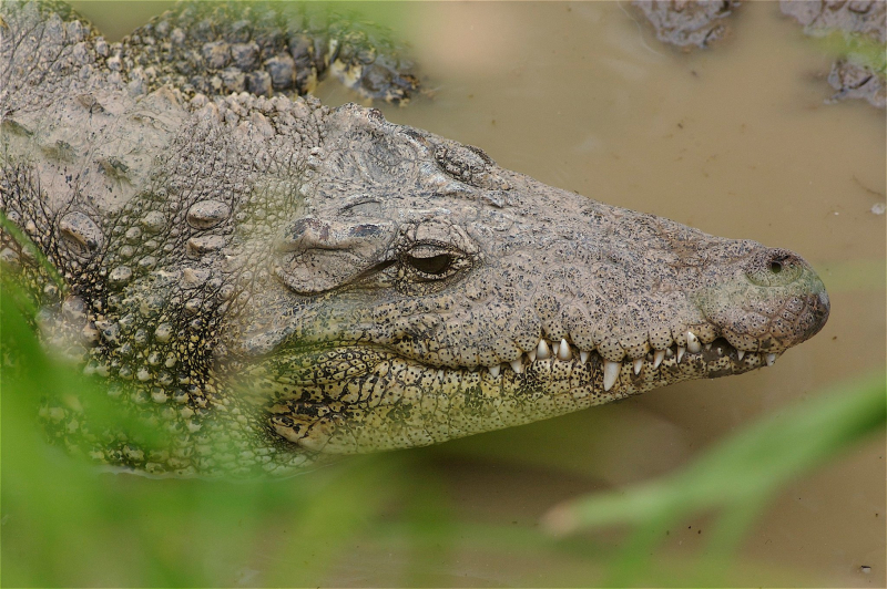 4/12 Monkey Park na Teneryfie